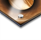 TAME Gallery 1 21 Acrylic print