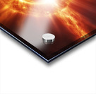 TAME Gallery 1 32 Acrylic print