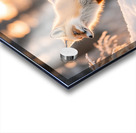 Winter Wonderland & Christmas Celebration 17 Acrylic print