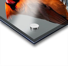 Introspective. Acrylic print