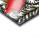 Perched. Cardinal.  Acrylic print