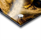 Focused. Eyes. Impression Acrylique