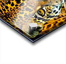 Moment of Clarity.  Acrylic print