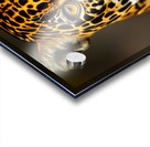 On Sight. Eyes. Acrylic print