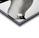 Memorized. Cardinal. Acrylic print