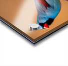 Colorful Cardinal  Impression Acrylique