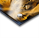 The King. Lion Acrylic print