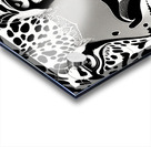 Cat Eyes 1 Acrylic print