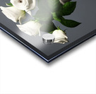 Vase of Peace. Acrylic print