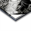 Comfort Zone.  Acrylic print