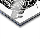 Determined. Jaguar. Line Art. Acrylic print