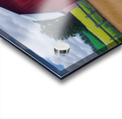 Farm Life 4 Acrylic print