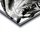 Emilie - Show Horse Impression Acrylique