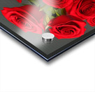 Vase of Love - Part 3 *Limited Edition* Impression Acrylique