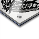 Jackson. Black Stallion. Impression Acrylique