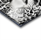 The Stare Acrylic print