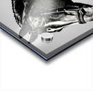 Sinbad. Horse. Line Art. Acrylic print