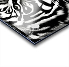 Tranced. Acrylic print