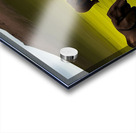 Serene. Elephants Acrylic print