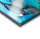 The Deep Dive Acrylic print