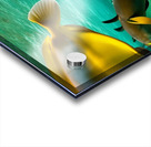 The Tail End. Acrylic print