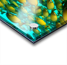 Infiltrated.  Acrylic print