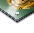 Lion. Playtime. Acrylic print