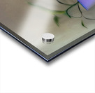 Rooted. Acrylic print