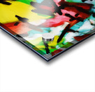 Nature Walk. Abstract. Acrylic print