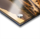 The Artful Gallery 1 Acrylic print