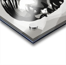 Silhouette of Strength Collection 1 - The Artful Mane 6 Acrylic print