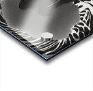 Silhouette of Strength Collection 1 - The Artful Mane 8 Acrylic print