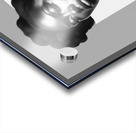 Silhouette of Strength Collection 1 - The Artful Mane 11 Acrylic print