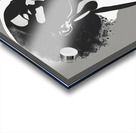 Silhouette of Strength Collection 1 - The Artful Mane 13 Acrylic print