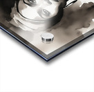 Silhouette of Strength Collection 1 - The Artful Mane 16 Acrylic print