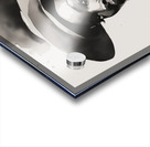 Silhouette of Strength Collection 1 - The Artful Mane 17 Acrylic print