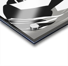 Silhouette of Strength Collection 1 - The Artful Mane 18 Acrylic print