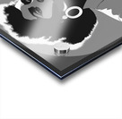 Silhouette of Strength Collection 1 - The Artful Mane 24 Acrylic print