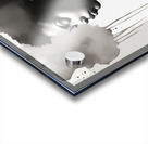 Silhouette of Strength Collection 1 - The Artful Mane 27 Acrylic print