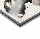 Silhouette of Strength Collection 1 - The Artful Mane 30 Acrylic print