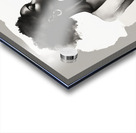 Silhouette of Strength Collection 1 - The Artful Mane 31 Acrylic print