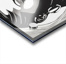 Silhouette of Strength Collection 1 - The Artful Mane 40 Acrylic print