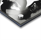 Silhouette of Strength Collection 1 - The Artful Mane 41 Acrylic print