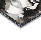 Silhouette of Strength Collection 1 - The Artful Mane 42 Acrylic print