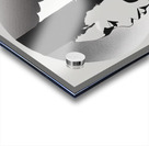 Silhouette of Strength Collection 1 - The Artful Mane 48 Acrylic print