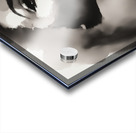 Silhouette of Strength Collection 1 - The Artful Mane 53 Acrylic print