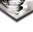 Silhouette of Strength Collection 1 - The Artful Mane 55 Acrylic print