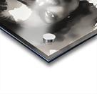 Silhouette of Strength Collection 1 - The Artful Mane 57 Impression Acrylique