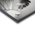 Silhouette of Strength Collection 1 - The Artful Mane 58 Acrylic print