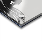 Silhouette of Strength Collection 1 - The Artful Mane 62 Acrylic print